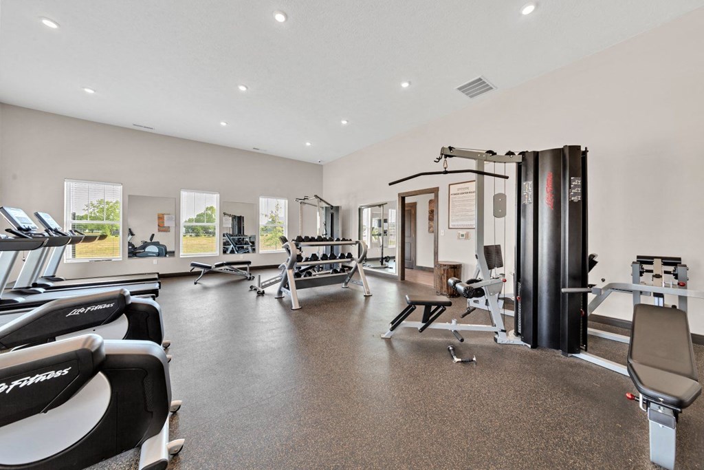 the gym has plenty of cardio equipment and weights
