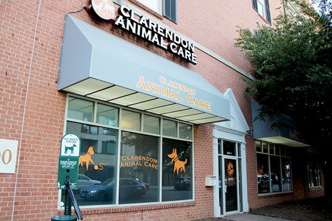 A Clarendon Animal Care storefront with a parking meter in front.