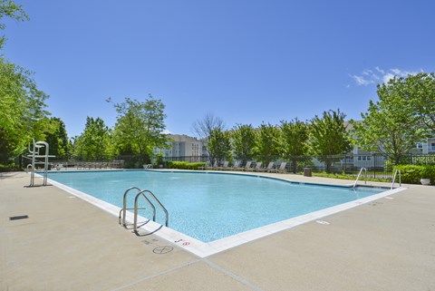 A large swimming pool surrounded by trees and a clear blue sky.