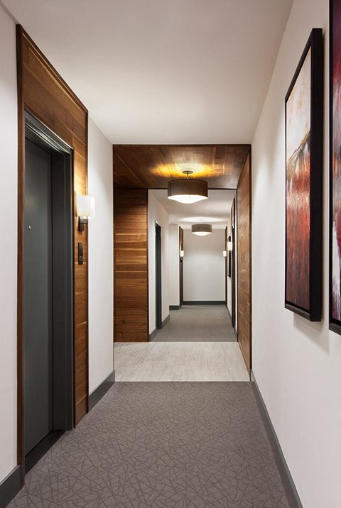 a hallway with doors and paintings and a carpeted floor