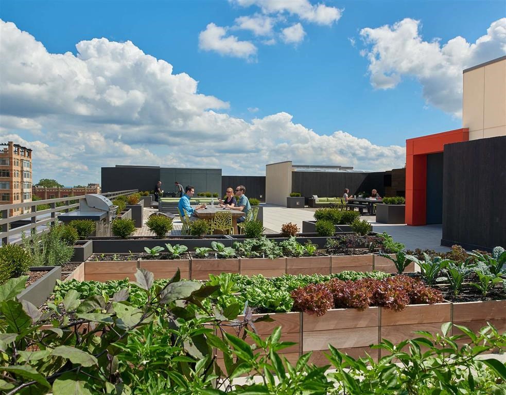 people sitting at tables in a garden on the roof of a building