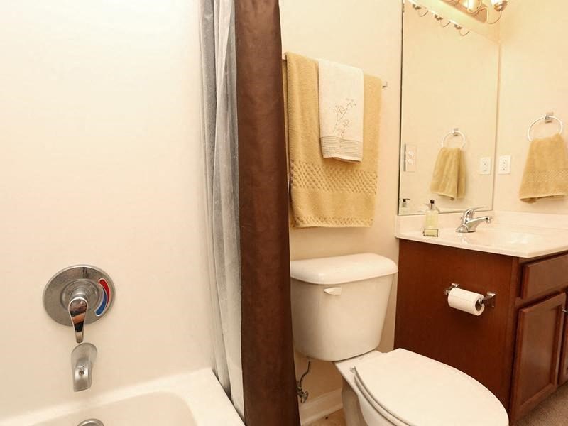 a bathroom with a toilet and a sink and a shower