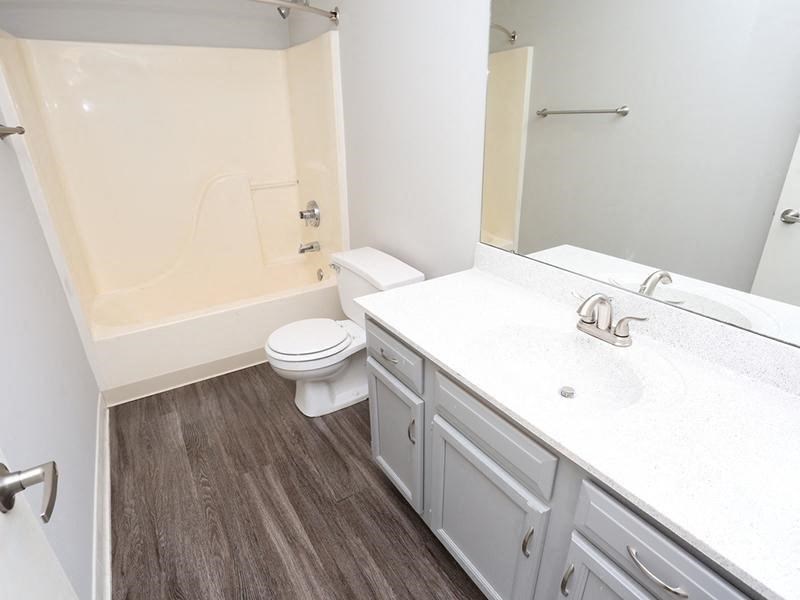 a bathroom with a toilet and a sink and a mirror