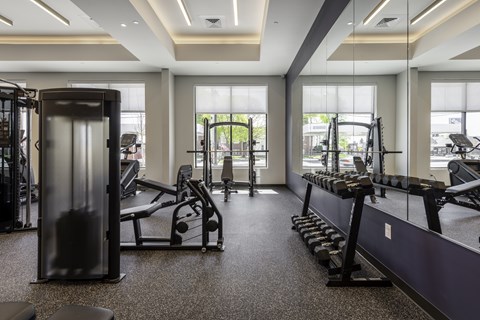 A gym with a variety of equipment including a squat rack, bench press, and a rowing machine.