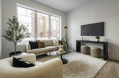 A living room with a white couch, a small tree, a coffee table, and a television.