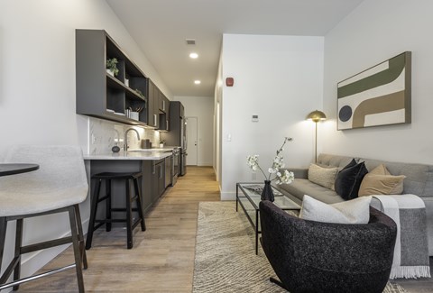A modern living room with a grey sofa and a black chair.