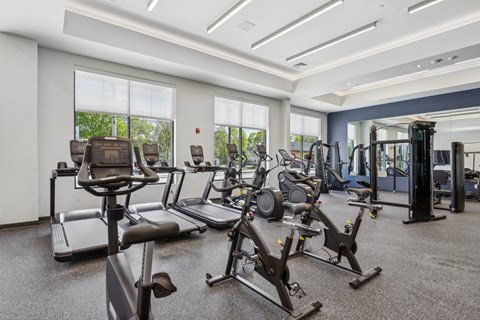 A gym with treadmills, elliptical machines, and other exercise equipment.