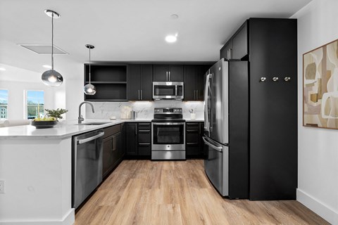 A modern kitchen with black cabinets and stainless steel appliances.
