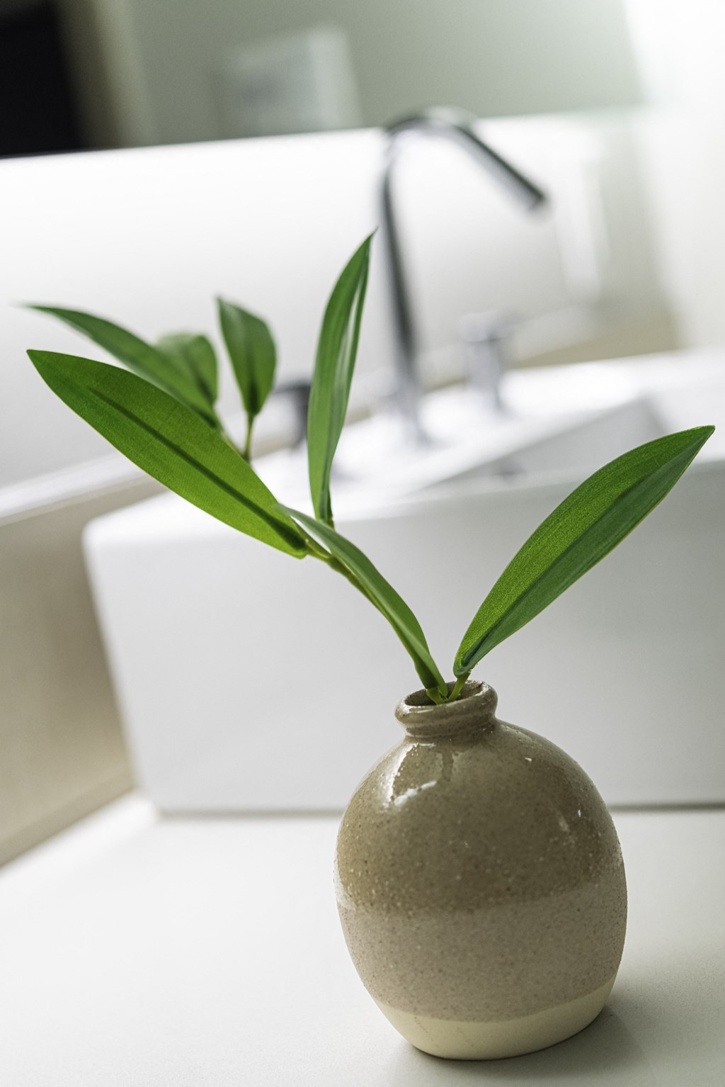 a vase with a plant in it on a bathroom counter