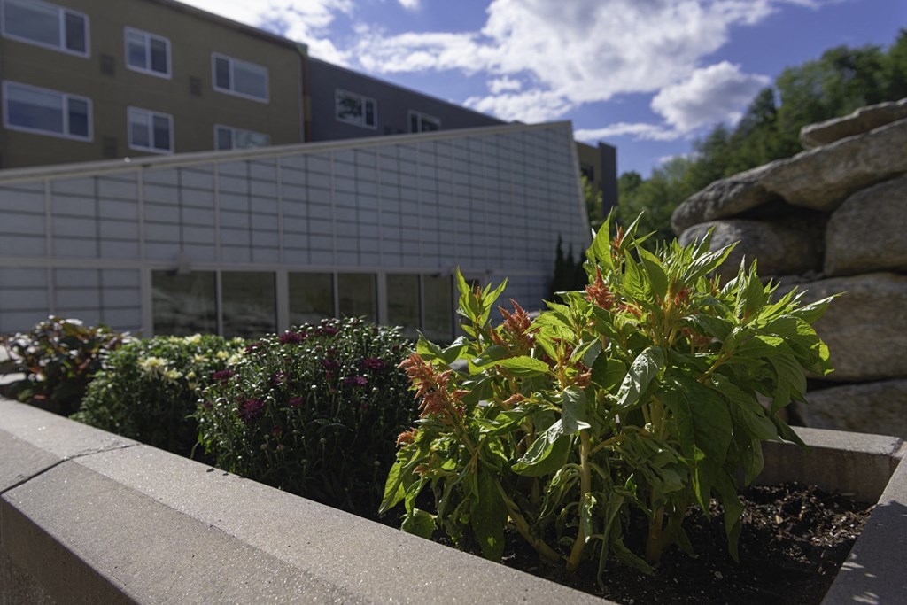exterior landscaping beautiful area to live pool amenity
