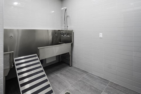 A bathroom with a shower and a walk-in shower stall.