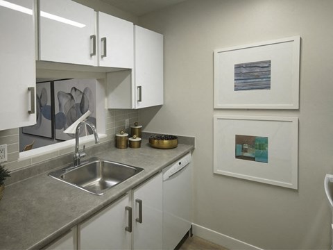A kitchen with a sink and two pieces of artwork on the wall.