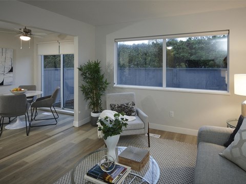 A living room with a grey couch, a coffee table, and a potted plant.