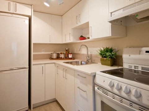 A white kitchen with a stove, sink, and refrigerator.