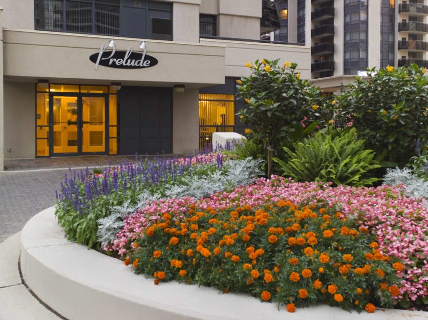 a flower bed in front of a building