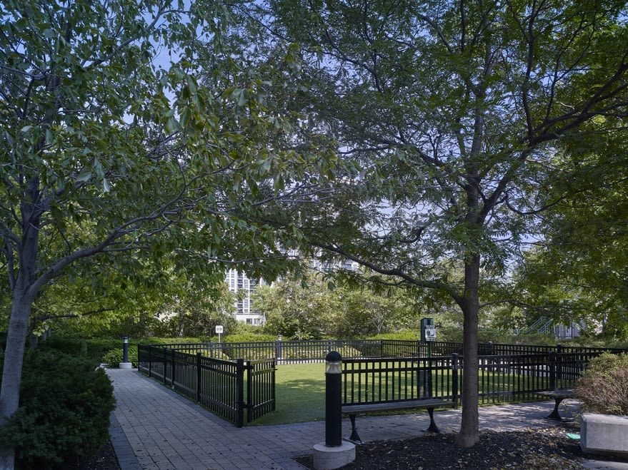 a park with trees and a bench