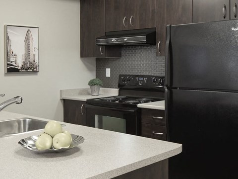 A black refrigerator is in a kitchen with a sink and a stove.