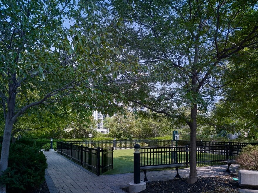a park with a bench and trees