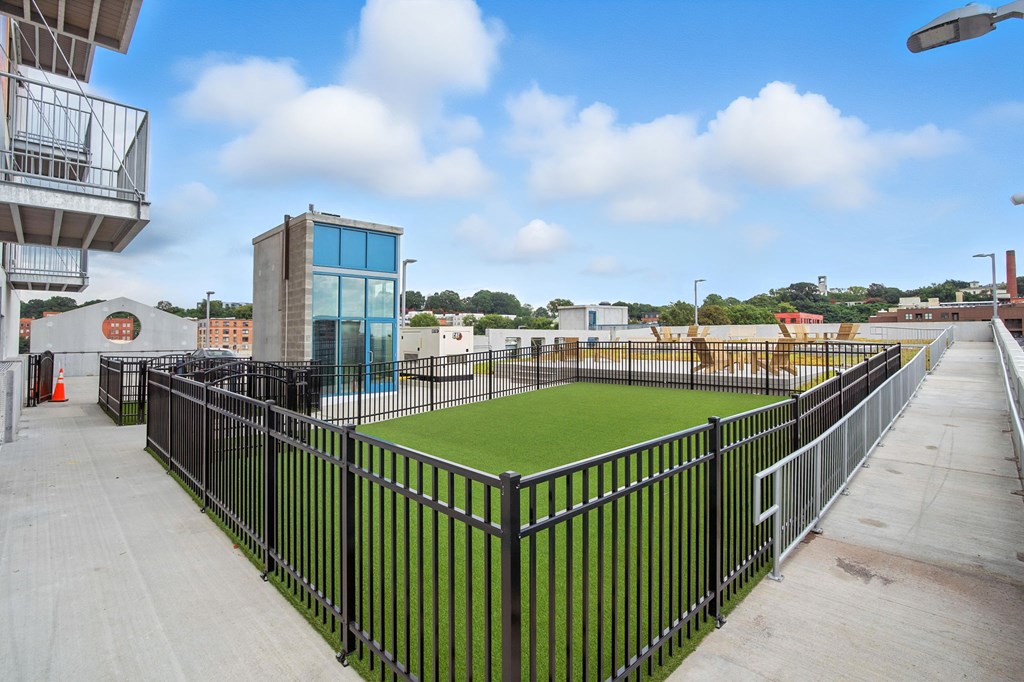 A black fence surrounds a green field.
