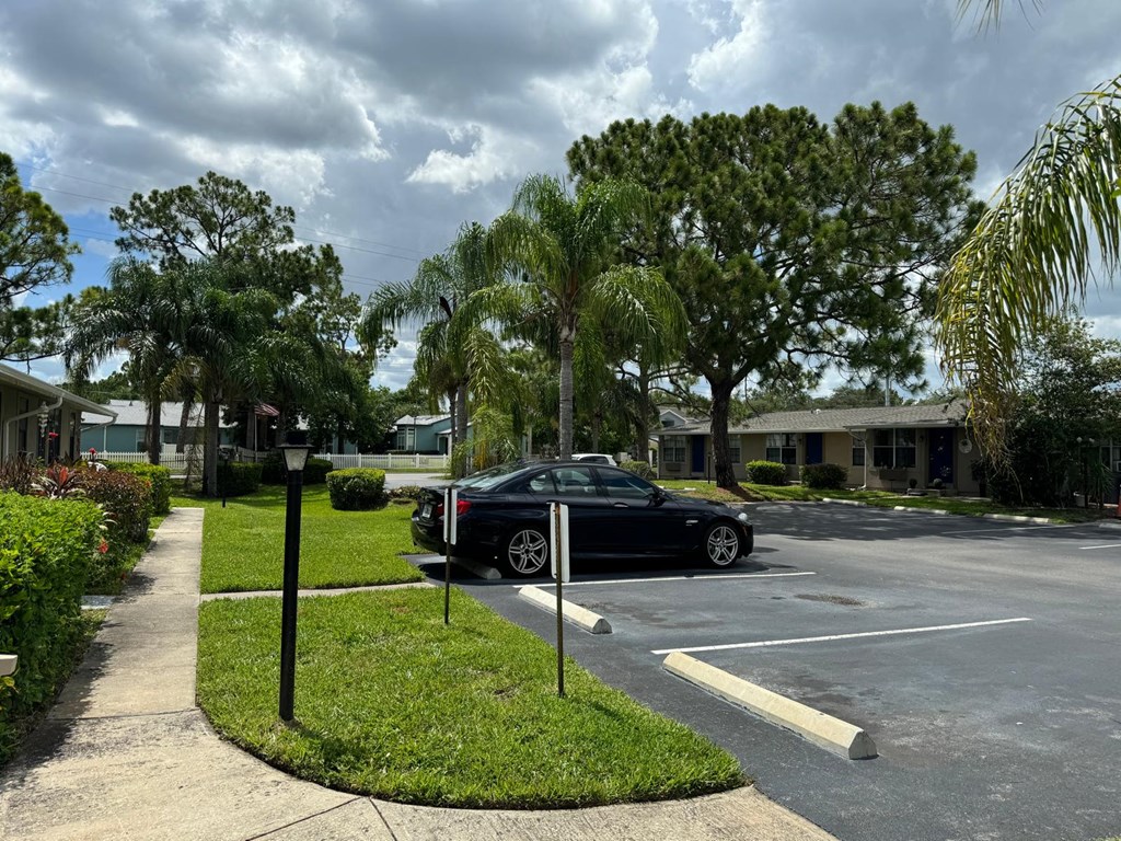 a car parked in a parking lot with palm trees