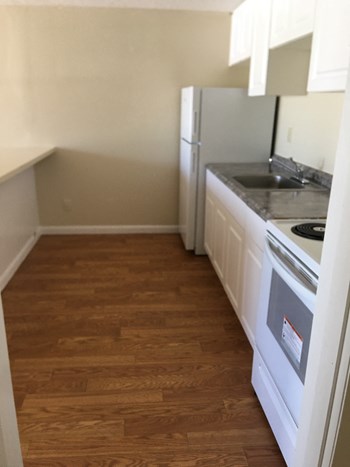 1 Bedroom Kitchen - Photo Gallery 5