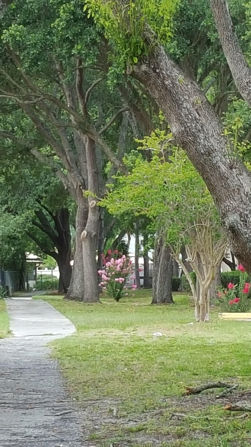 Walking Trail Walking Trail