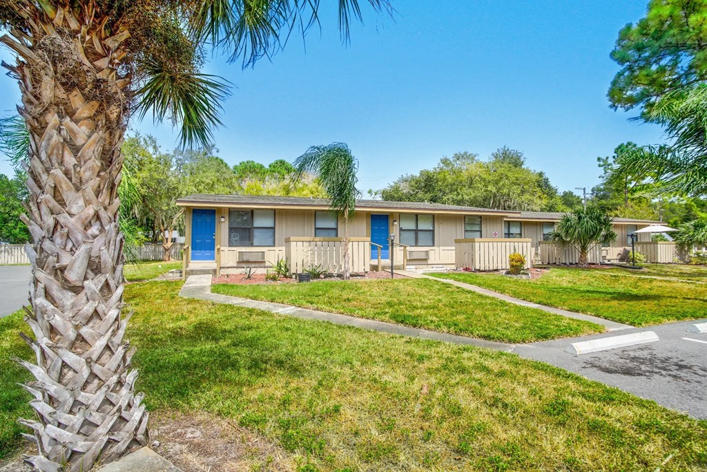 a home with blue doors and a palm tree in front of it