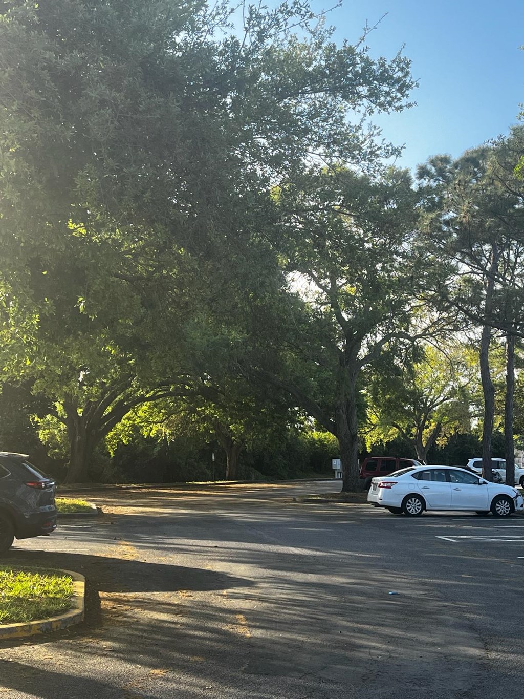 a white car parked in a parking lot
