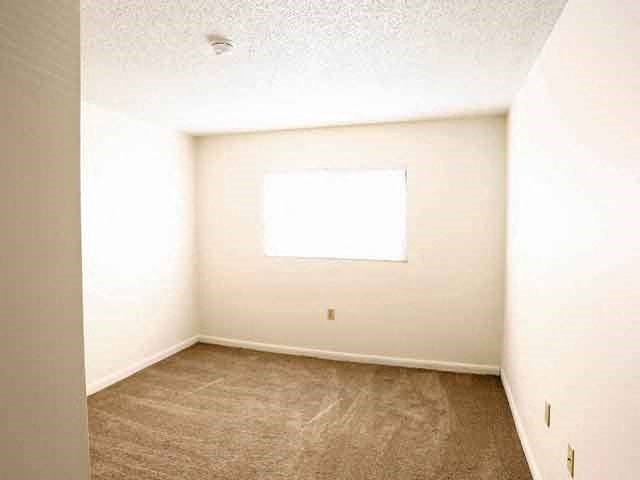an empty room with carpet and a window