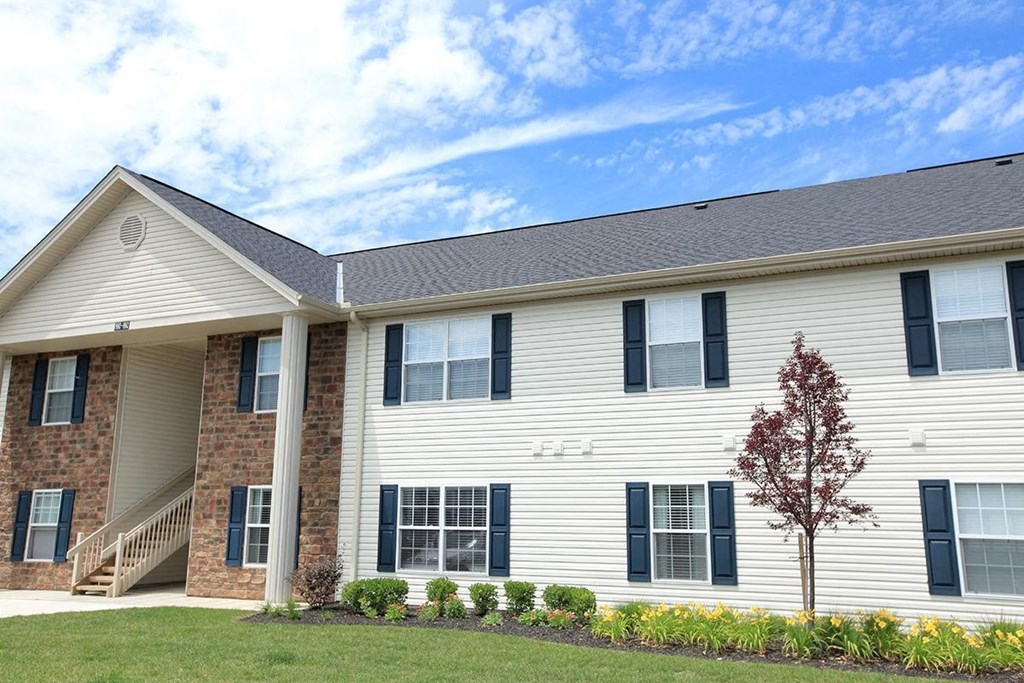 a white house with black shutters and a tree in the yard