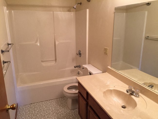 Bath at Dutch Hills Terrace Apartments, Parkersburg