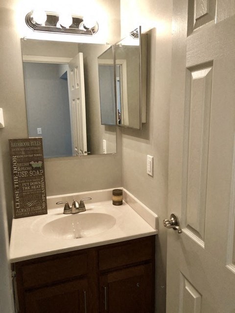 a bathroom with a sink and a mirror