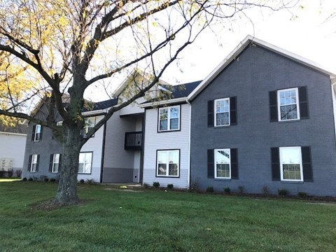 a gray house with a large tree in front of it