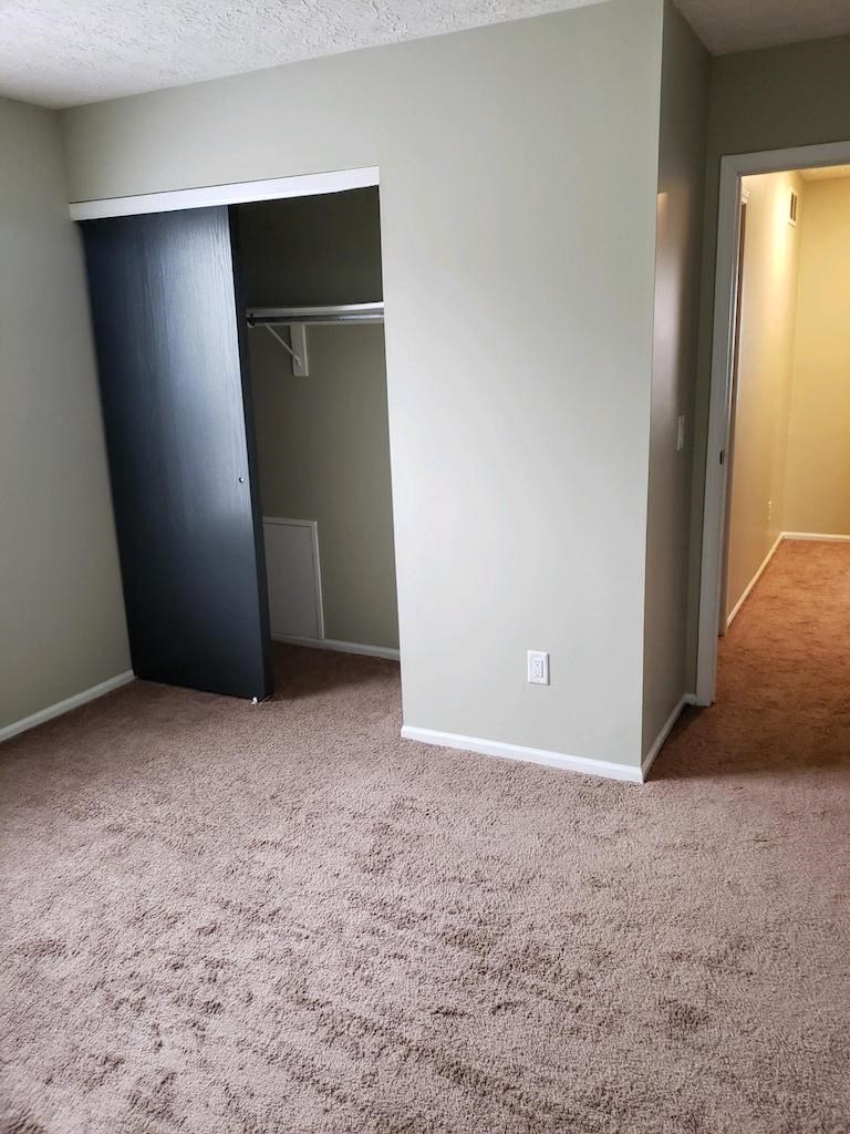 an empty bedroom with a closet and a carpeted floor