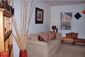 A living room with a couch, a chair, and a vase with tall sticks in it.