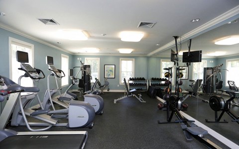 a gym with weights and cardio equipment in a home gym