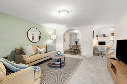 A living room with a couch, a coffee table, and a television.