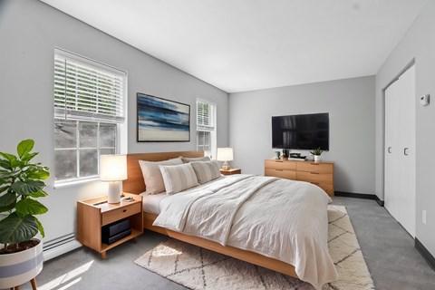 A bedroom with a large bed, a nightstand with a lamp, and a potted plant.