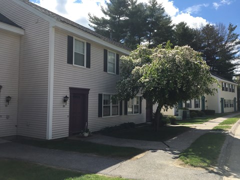 A white building with a red door and a tree in front.