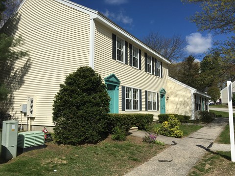 A house with a green door and a green bush in front.