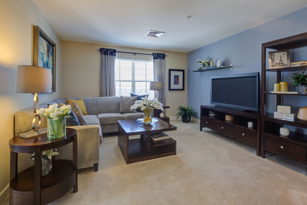 a living room with a couch and a television