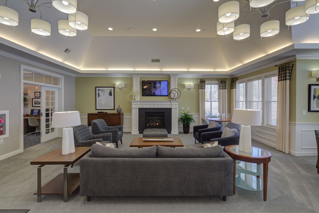 a living room with couches and chairs and a fireplace