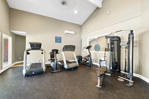 A gym with treadmills, elliptical machines, and weights.