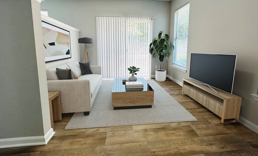 A living room with a couch, a coffee table, and a television.