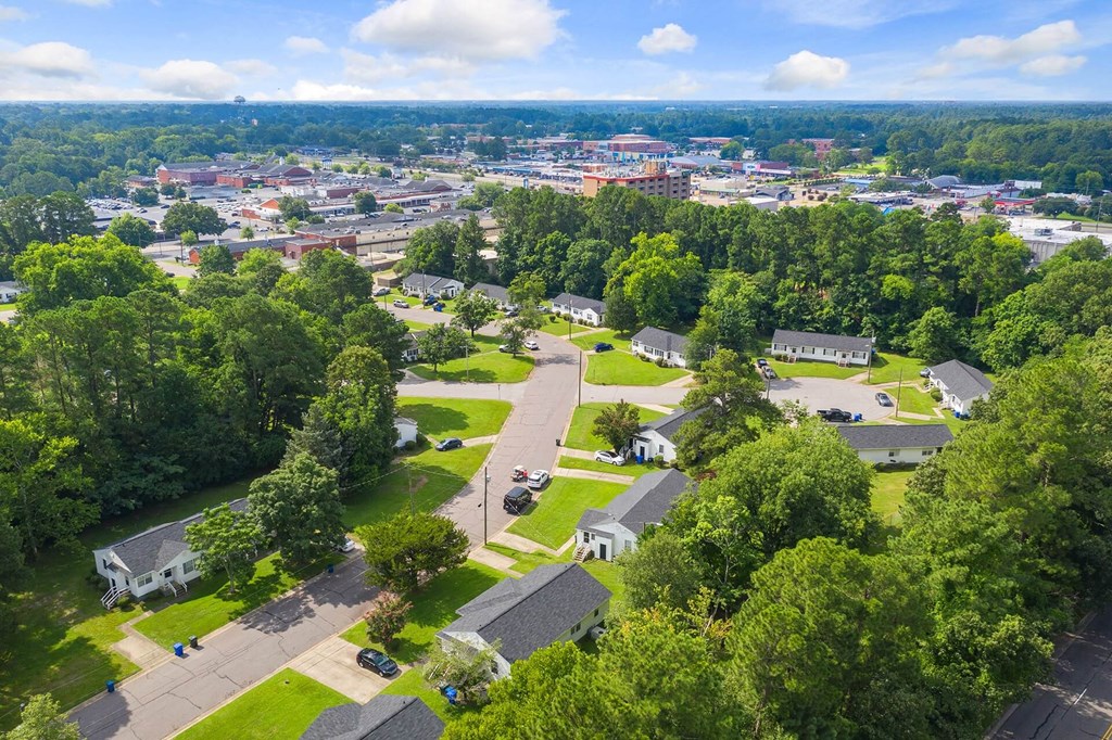 A bird's eye view of a residential area with houses and trees.
