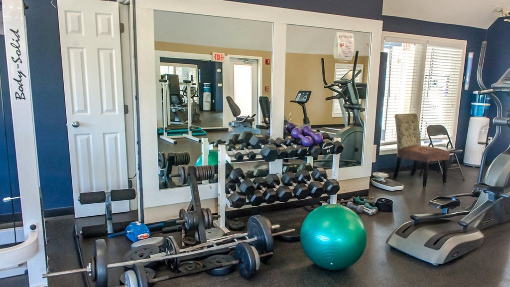 a gym full of weights and cardio equipment