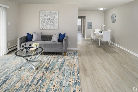A living room with a grey couch and a blue rug.