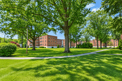 A green lawn with trees and a building in the background.