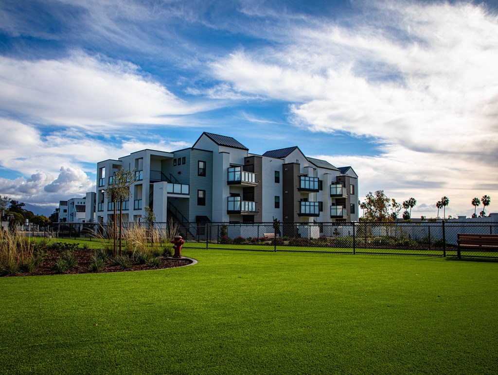 large dog park in Santa Barbara's pet friendliest community