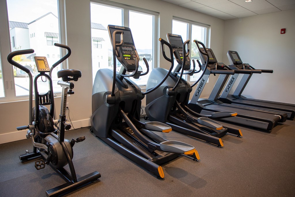 cardio equipment, gym